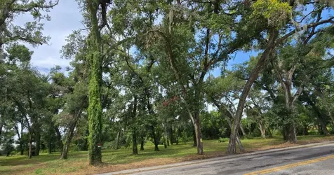 712 Lithia Pinecrest Road Brandon FL 33511