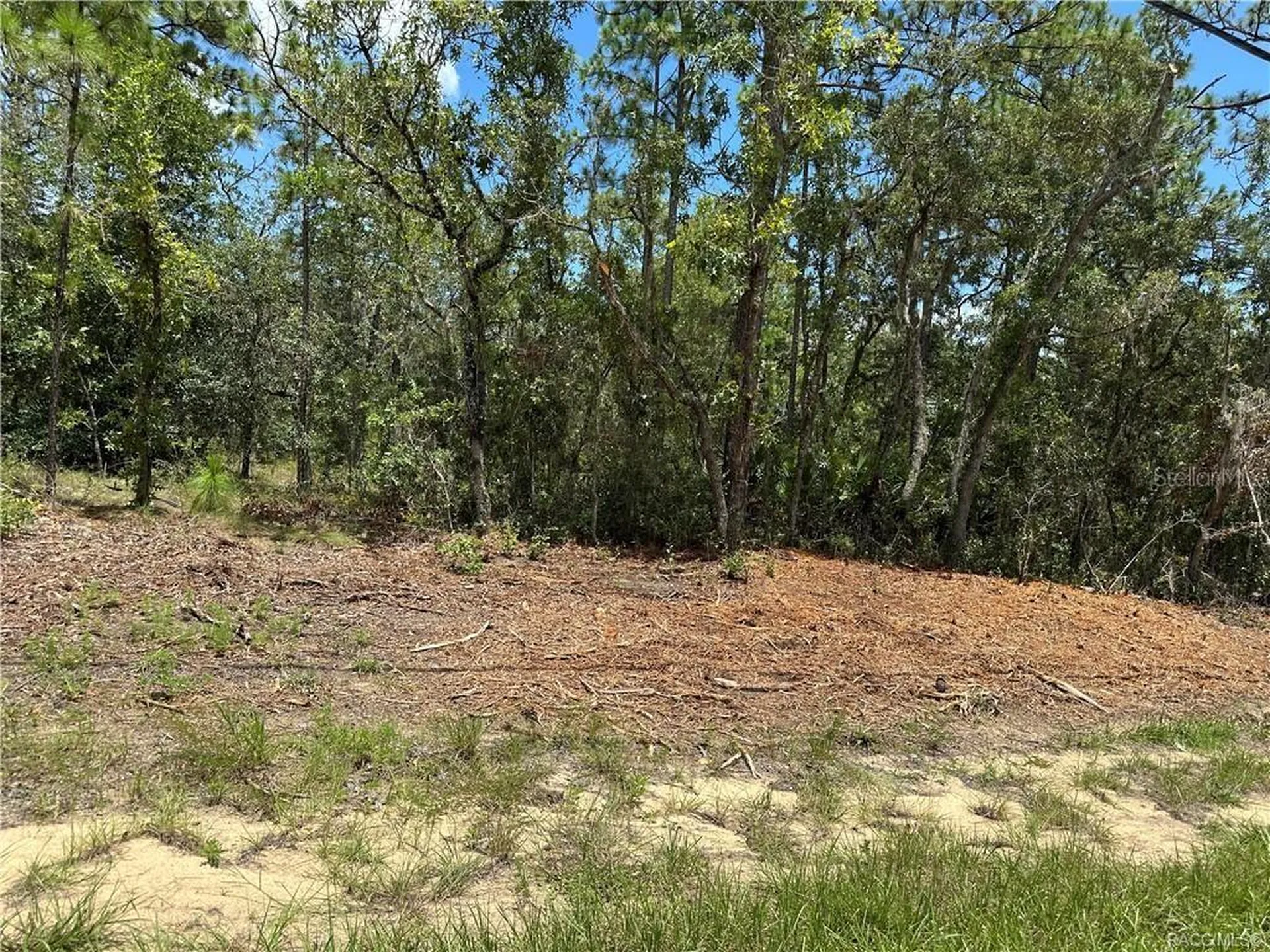 955 W Hampshire Boulevard Citrus Springs FL 34434