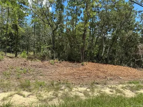 955 W Hampshire Boulevard Citrus Springs FL 34434