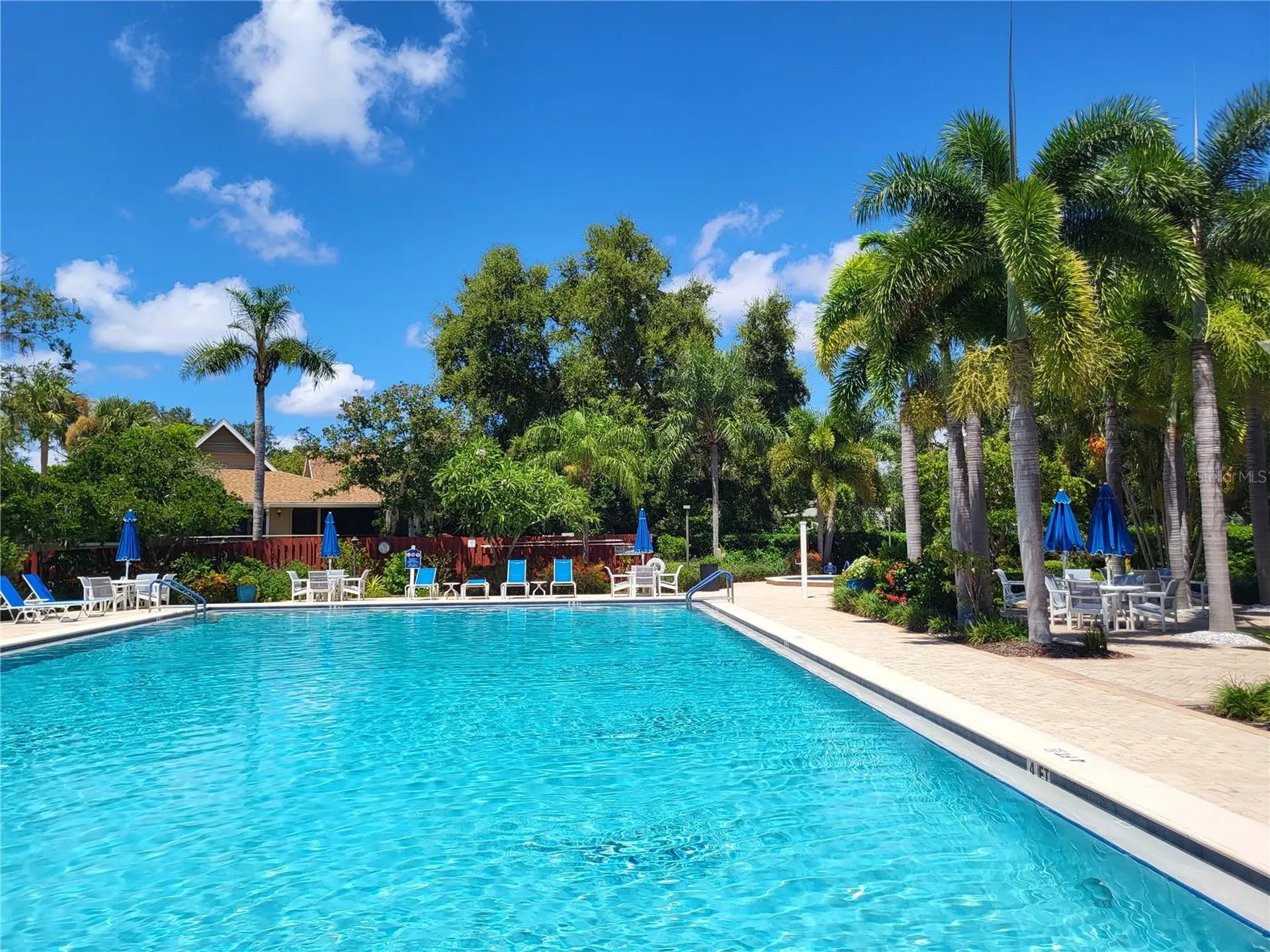 1023 Lake Avoca Place Tarpon Springs FL 34689