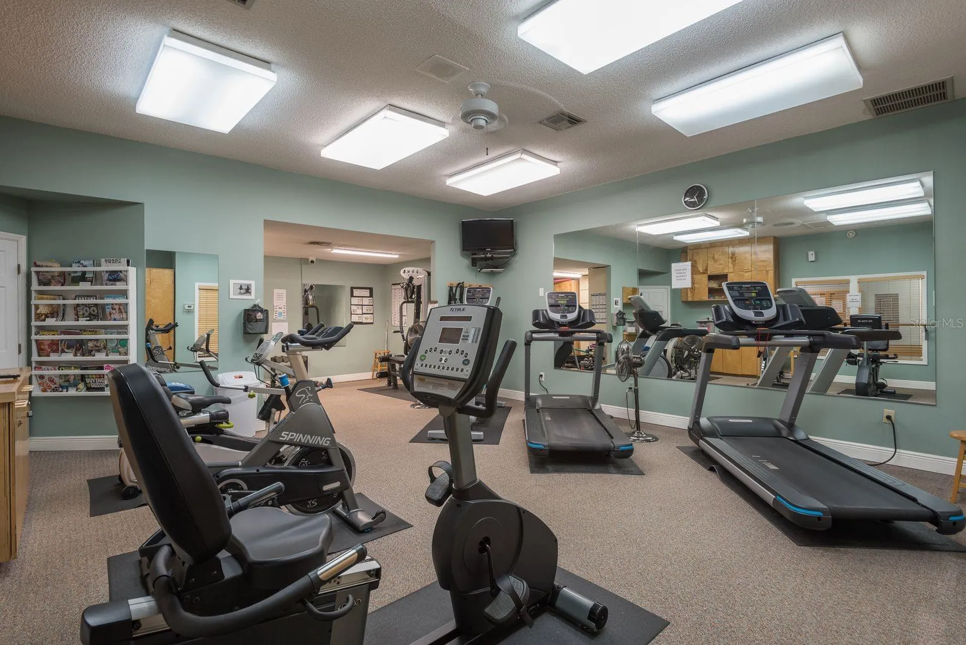 1023 Lake Avoca Place Tarpon Springs FL 34689