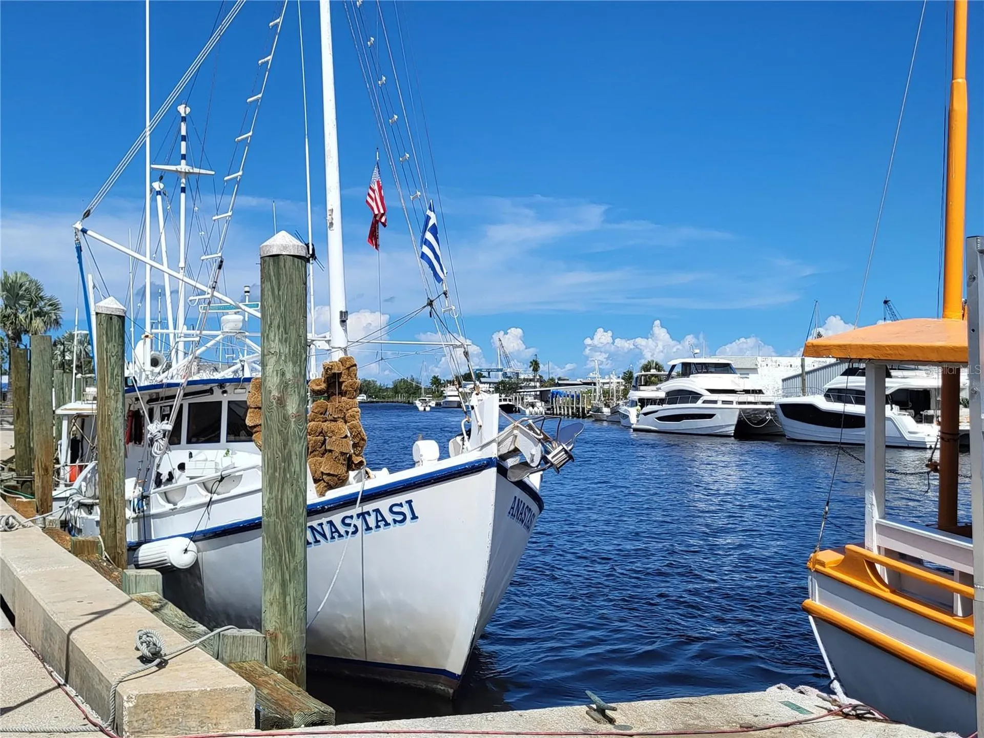 1023 Lake Avoca Place Tarpon Springs FL 34689