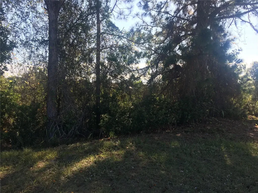 170 Tournament Road Rotonda West FL 33947