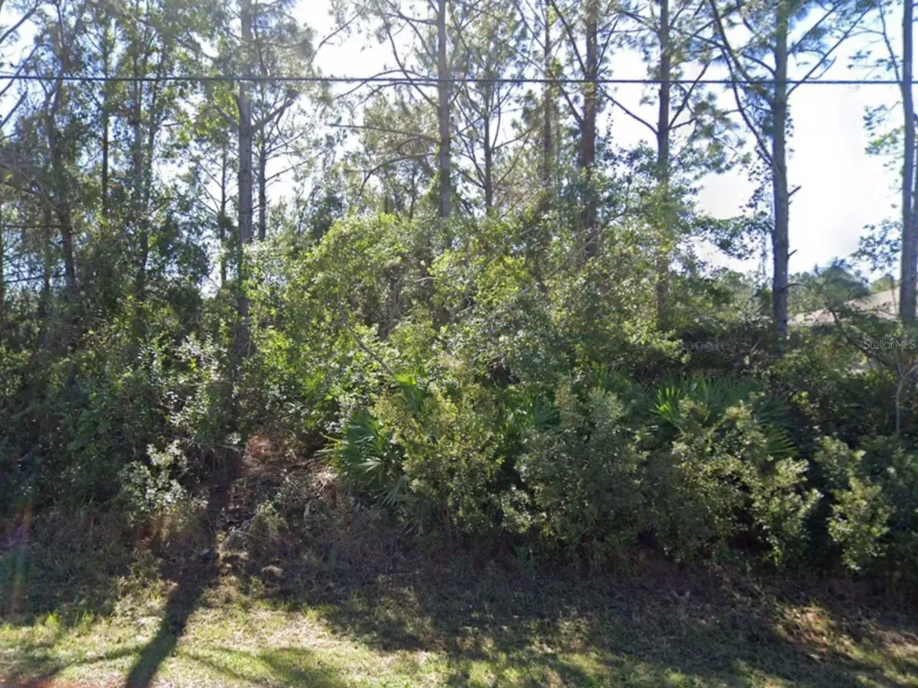 106 Lee Drive Palm Coast FL 32137