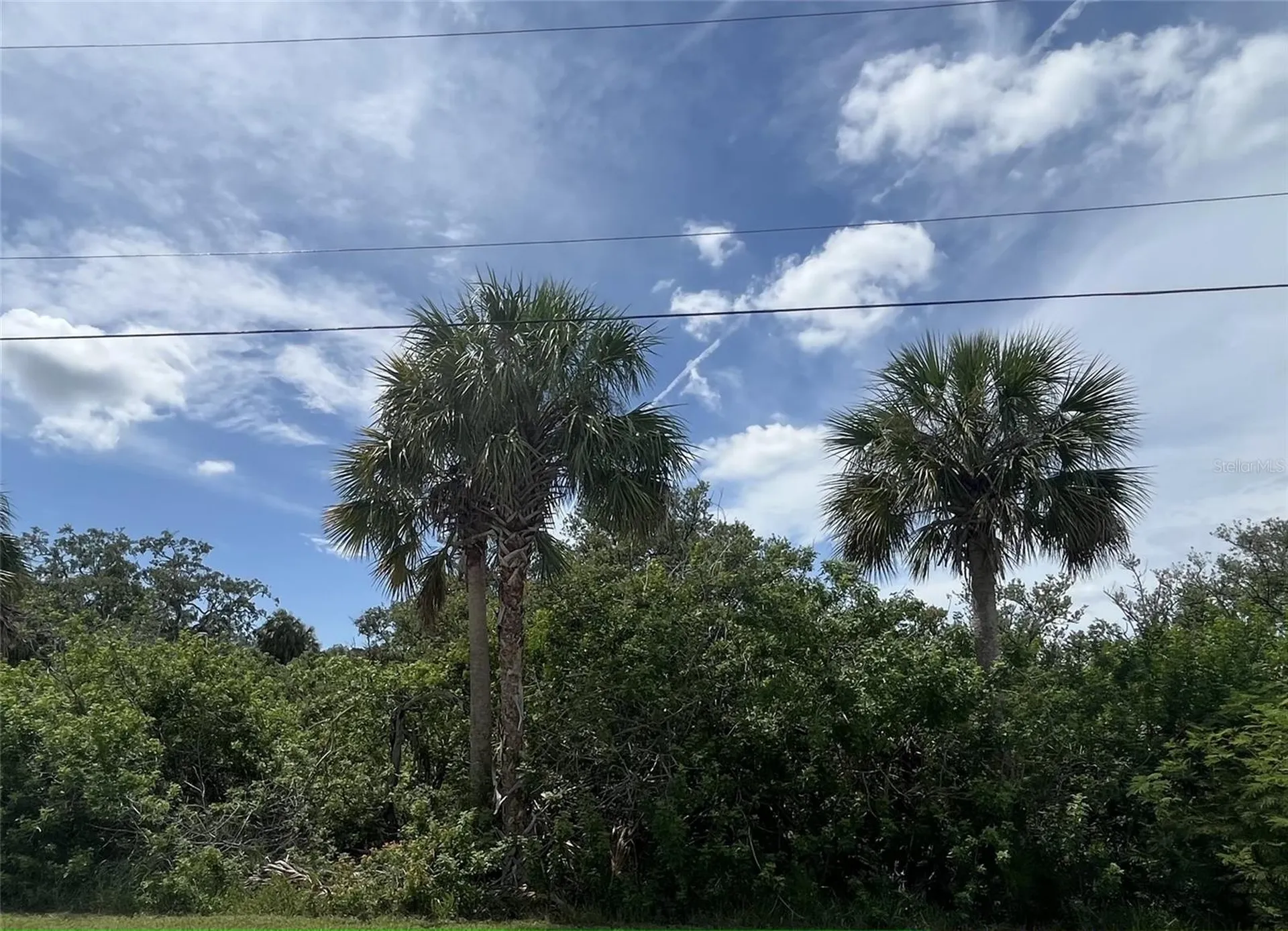 Betty Street Port Richey FL 34668