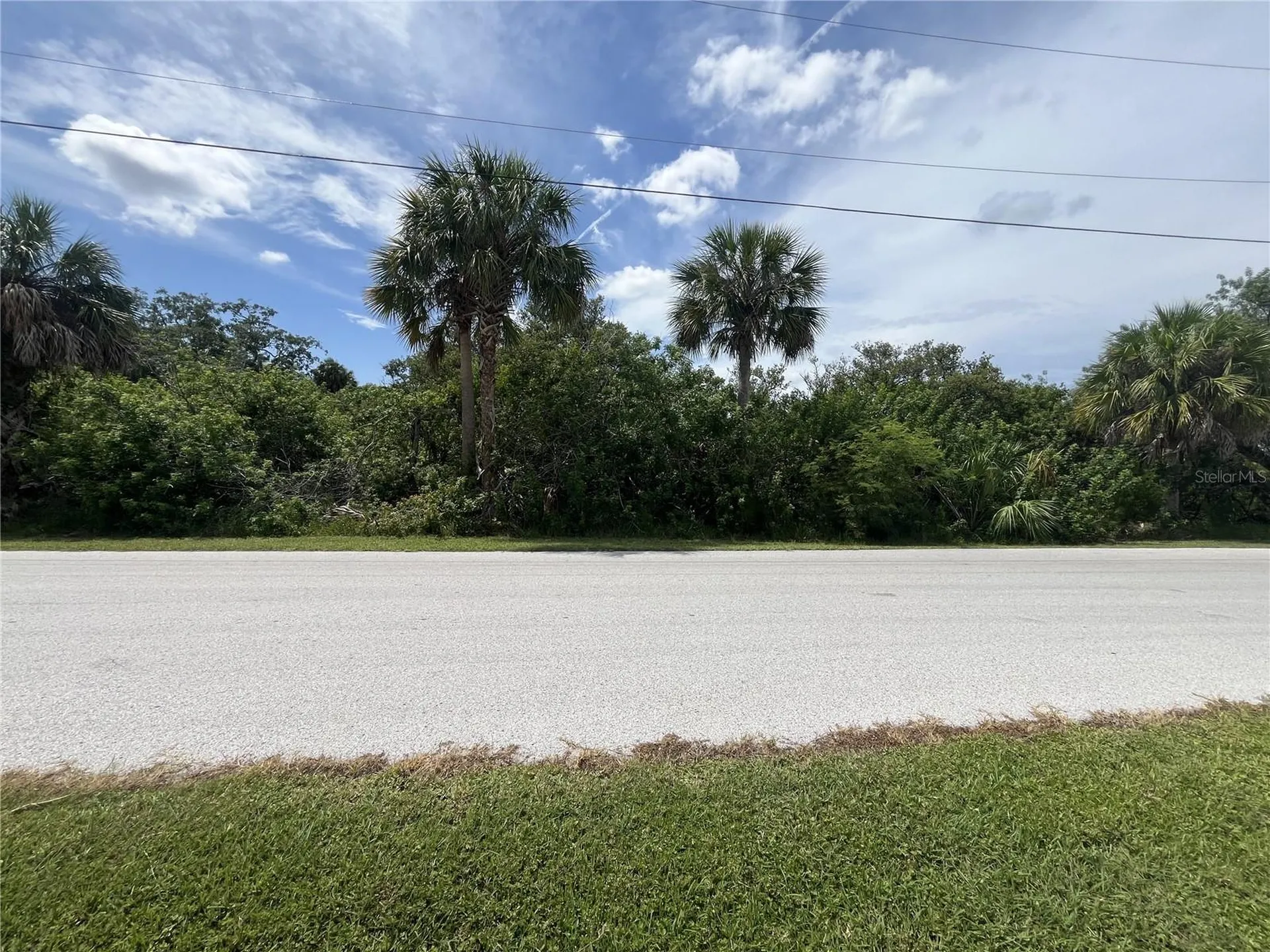 Betty Street Port Richey FL 34668