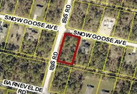 15282 Ibis Road Brooksville FL 34614