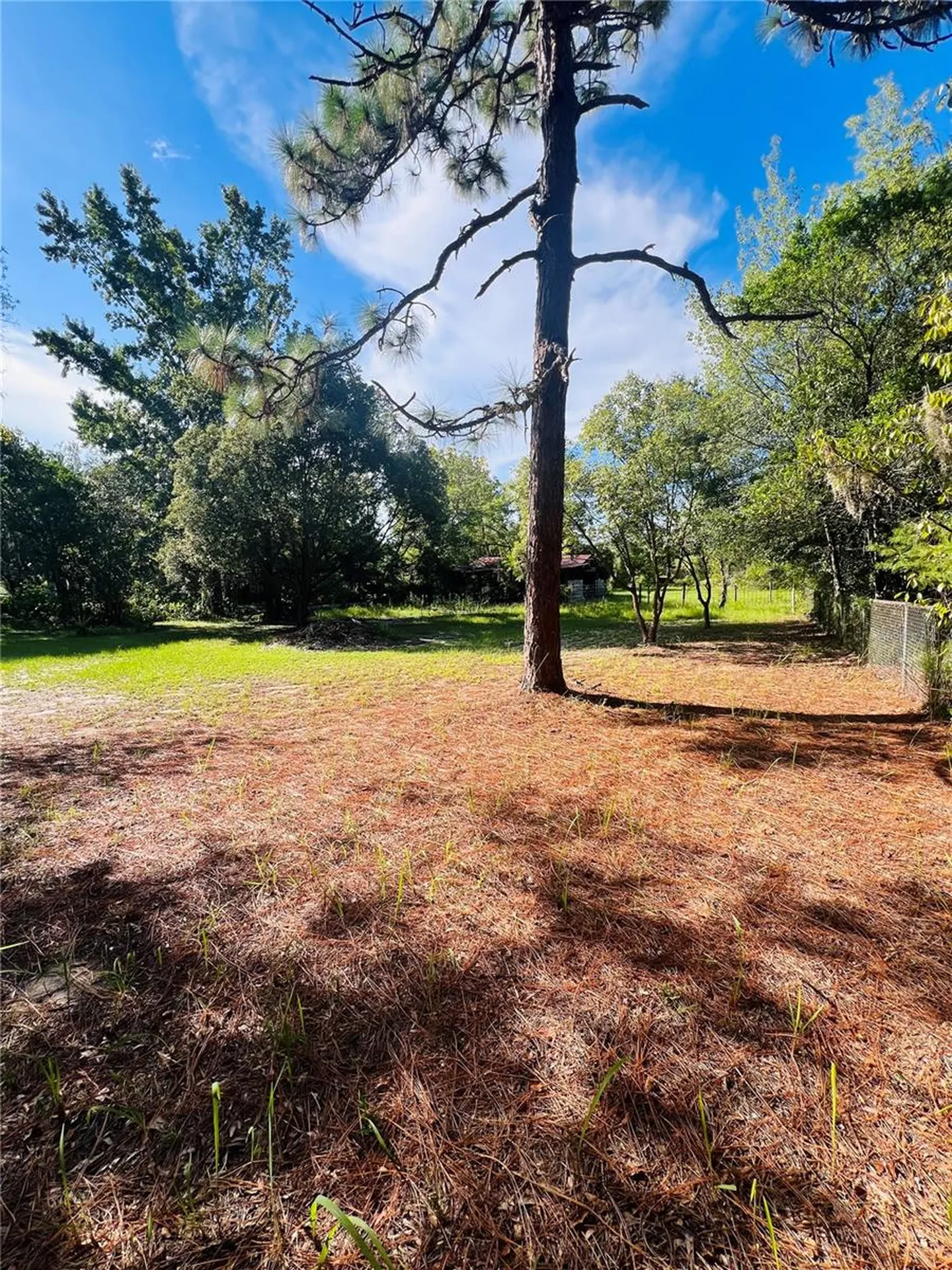 17222 Dansville Drive Spring Hill FL 34610