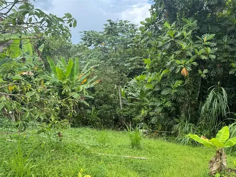 Carr 140 Km 38.9 Utuado PR 00641