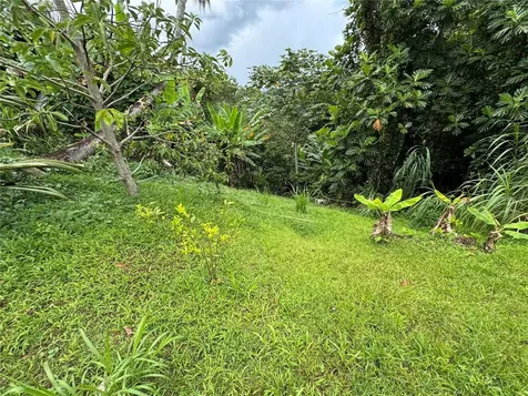 Carr 140 Km 38.9 Utuado PR 00641
