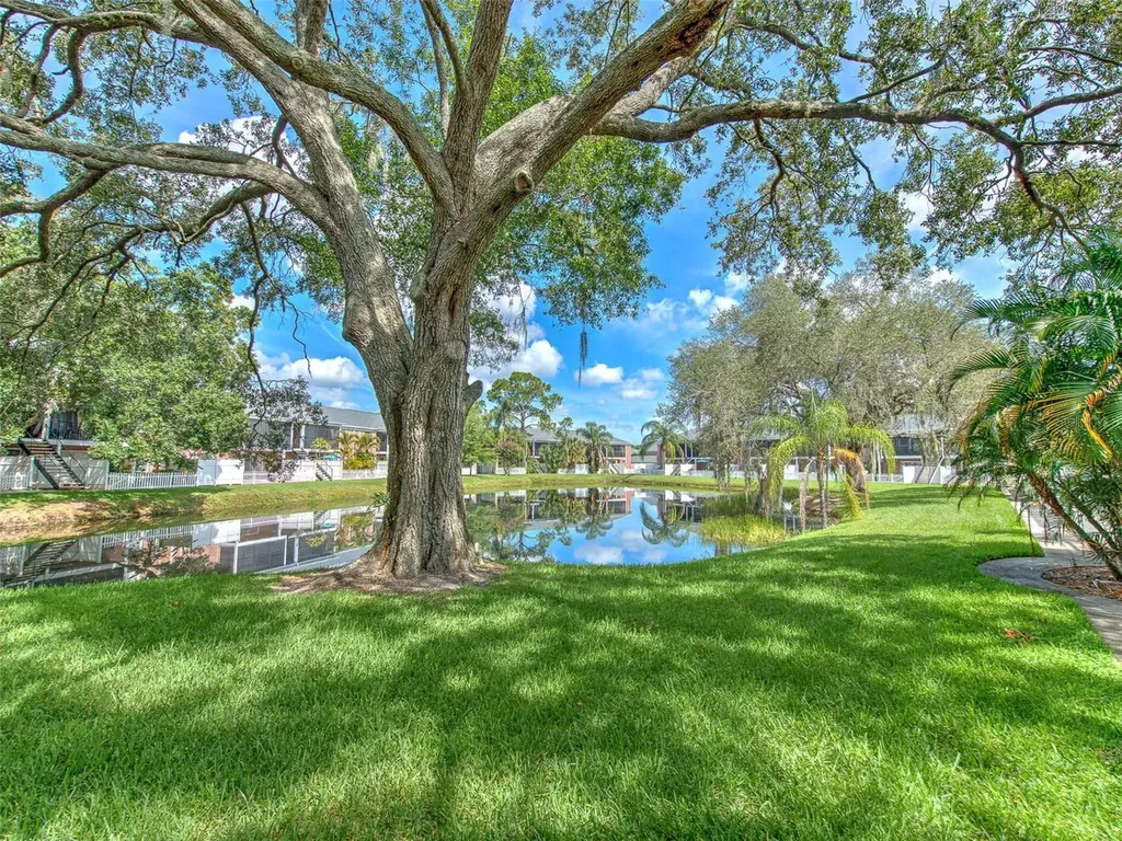 13759 Orange Sunset Drive Tampa FL 33618