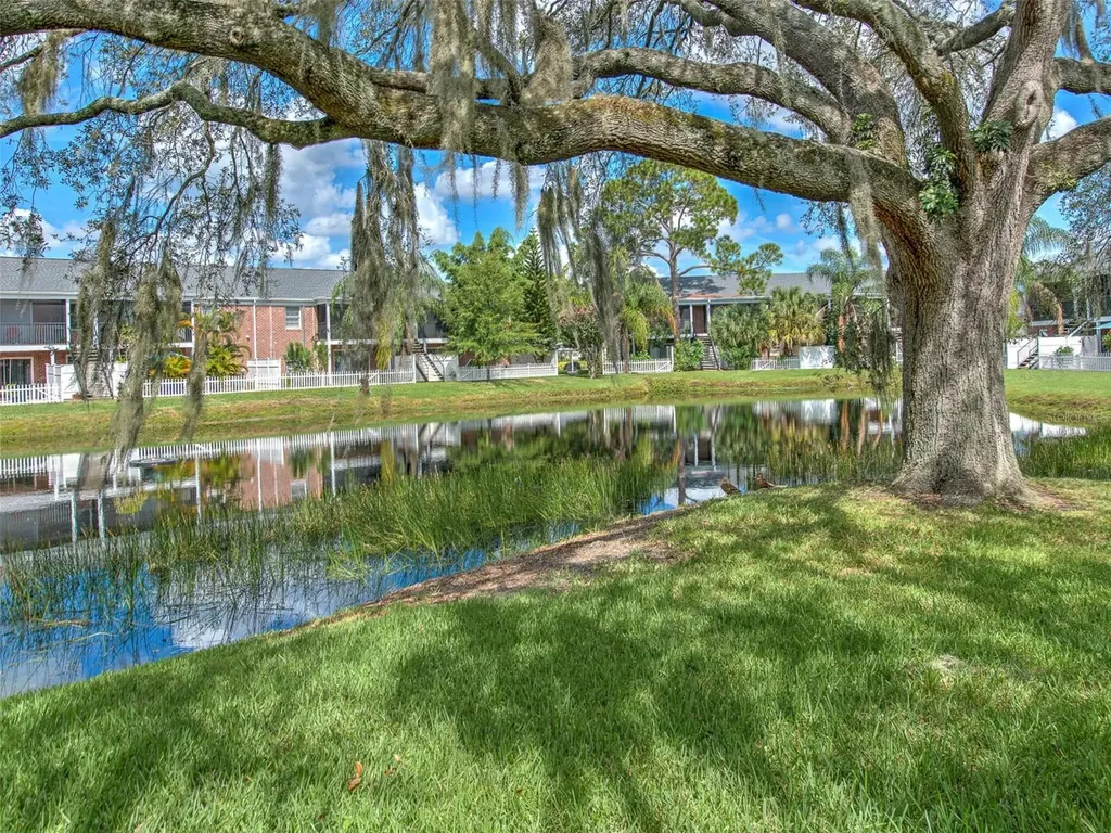 13759 Orange Sunset Drive Tampa FL 33618