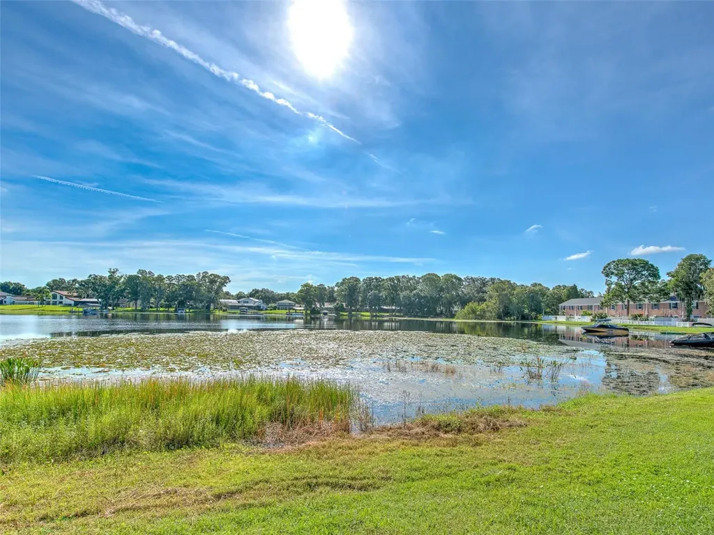 13759 Orange Sunset Drive Tampa FL 33618