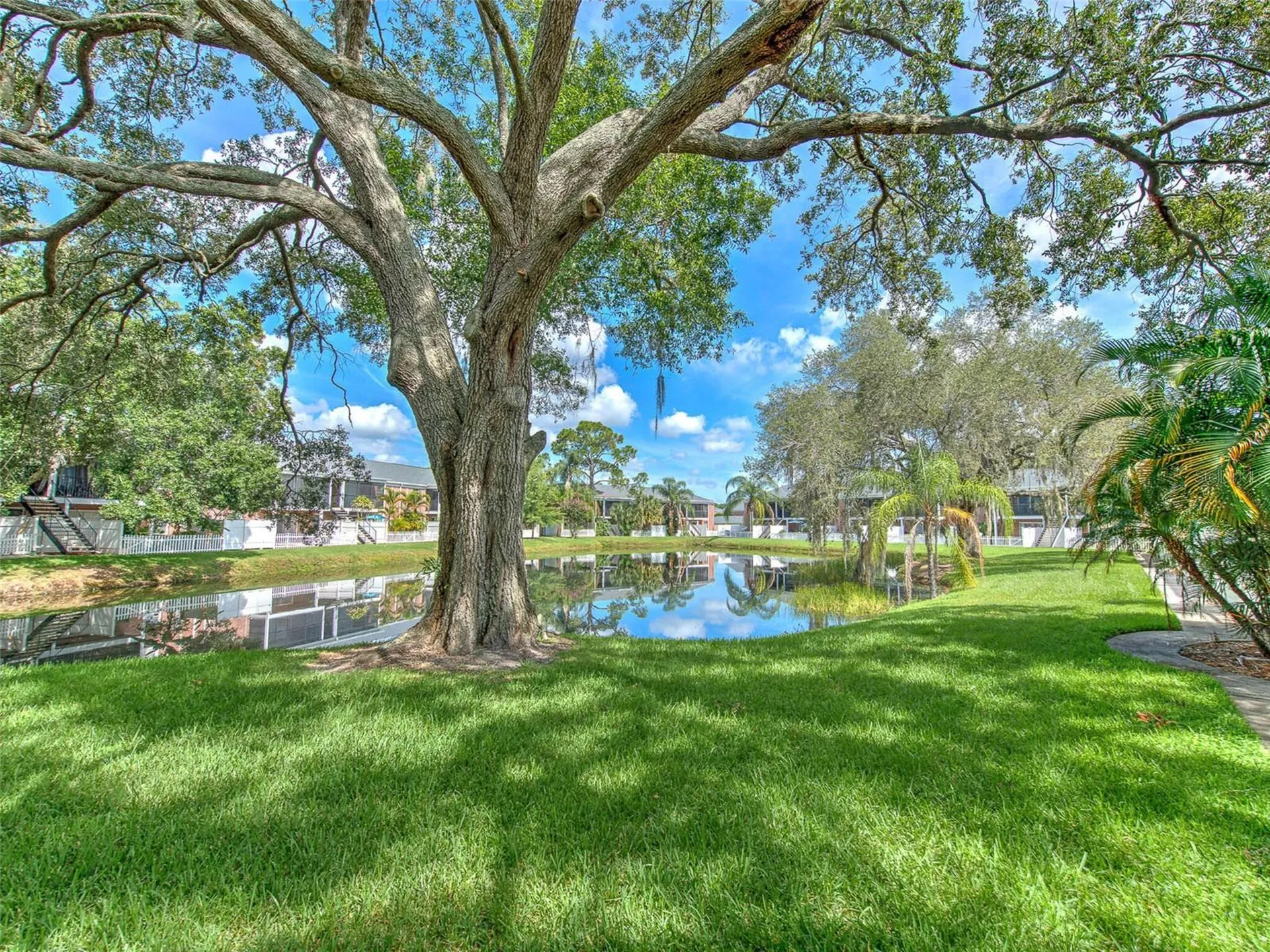 13759 Orange Sunset Drive Tampa FL 33618