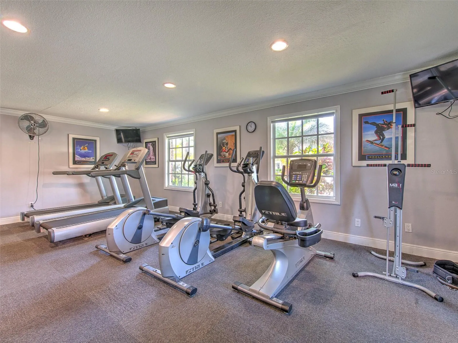 13759 Orange Sunset Drive Tampa FL 33618
