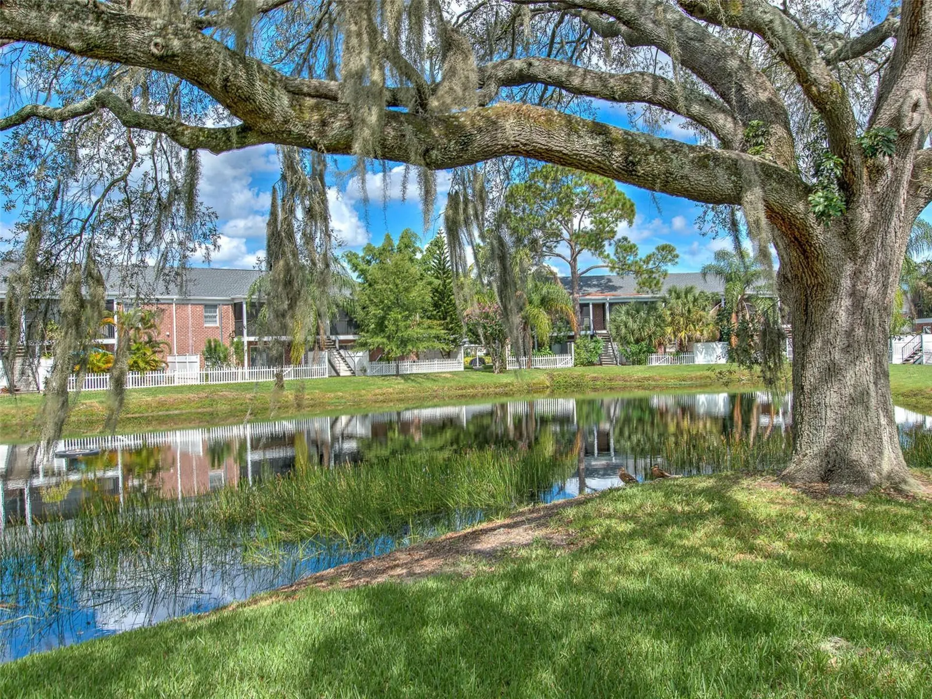 13759 Orange Sunset Drive Tampa FL 33618