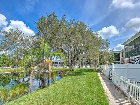 13759 Orange Sunset Drive Tampa FL 33618