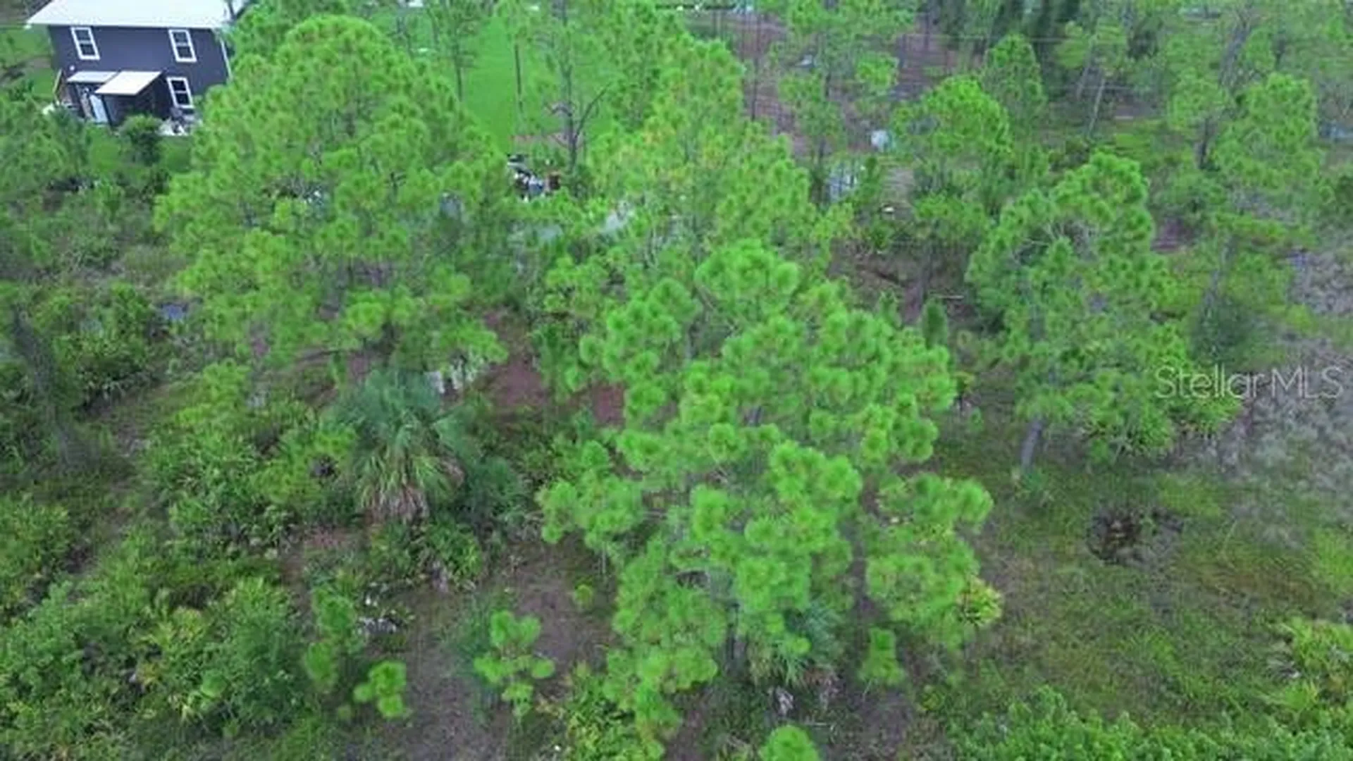 28072 Crestwood Drive Punta Gorda FL 33955