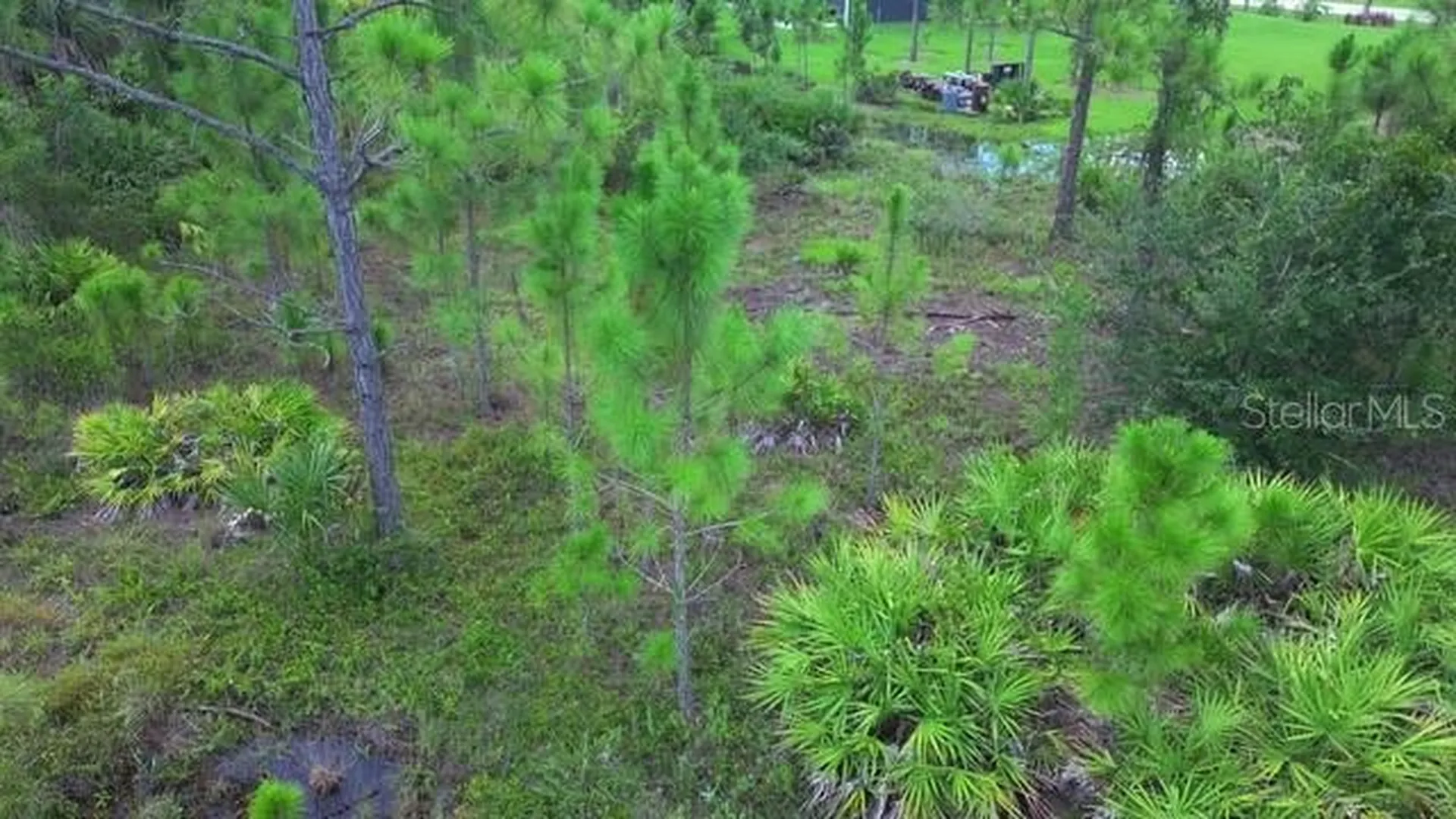 28072 Crestwood Drive Punta Gorda FL 33955