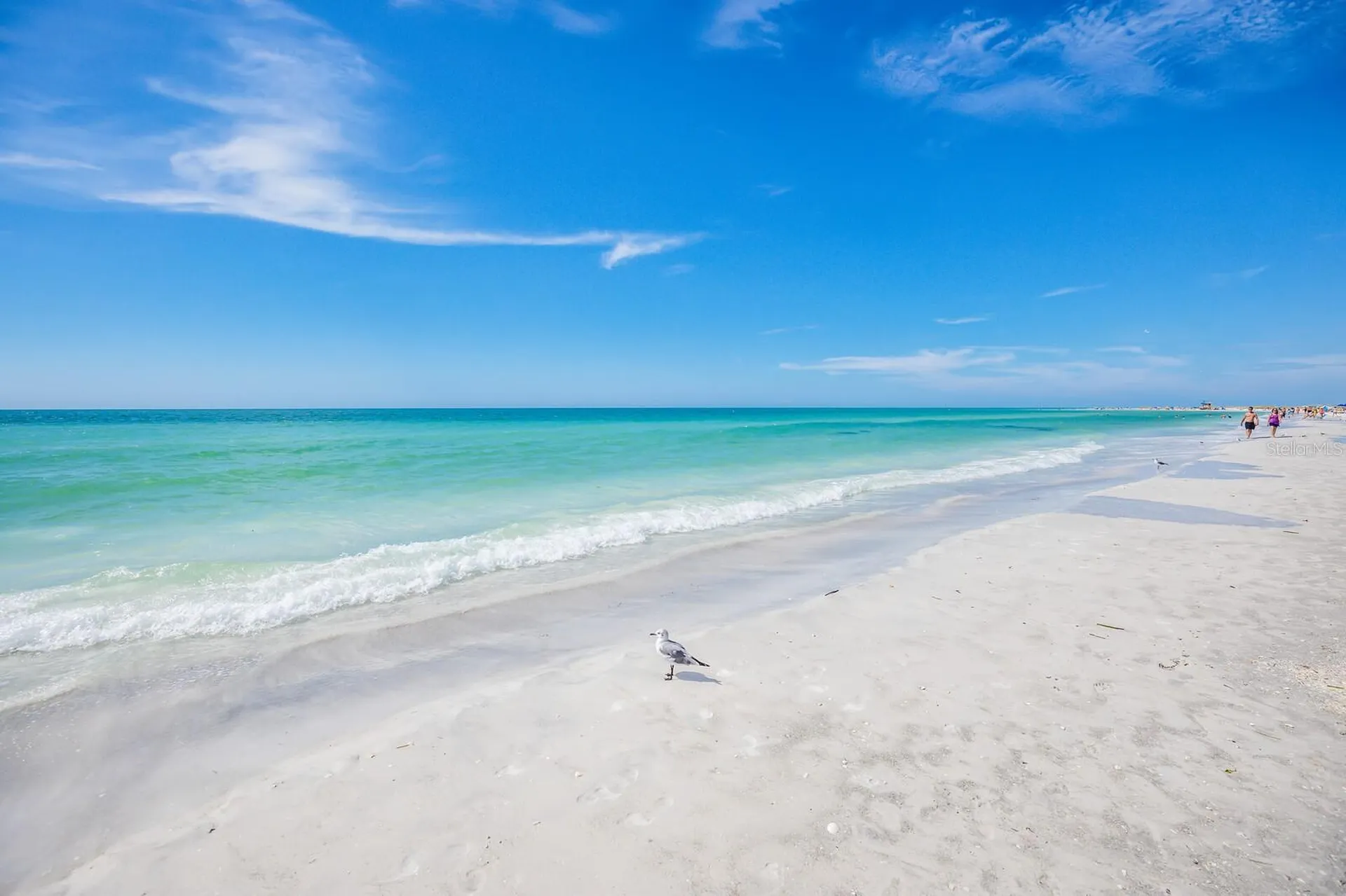 204 N Adams Drive Sarasota FL 34236