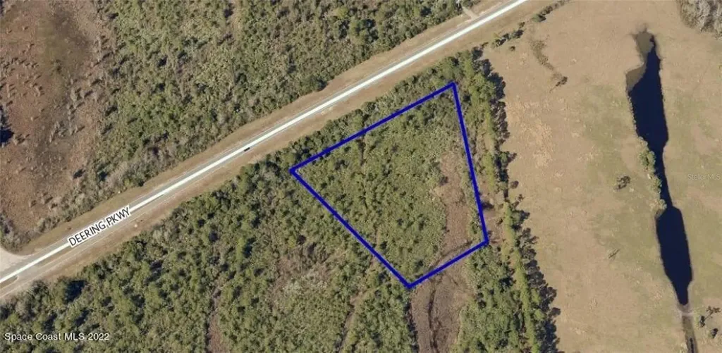 Deering Parkway Mims FL 32754