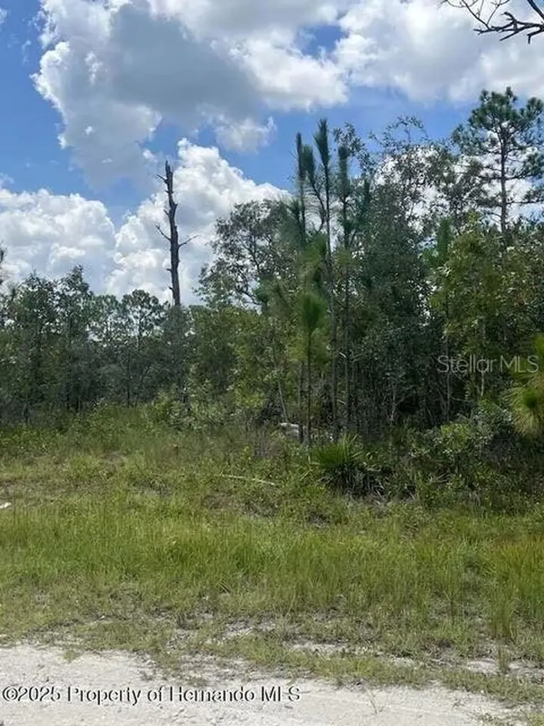 0 0 Yellow Frog Avenue Weeki Wachee FL 34614