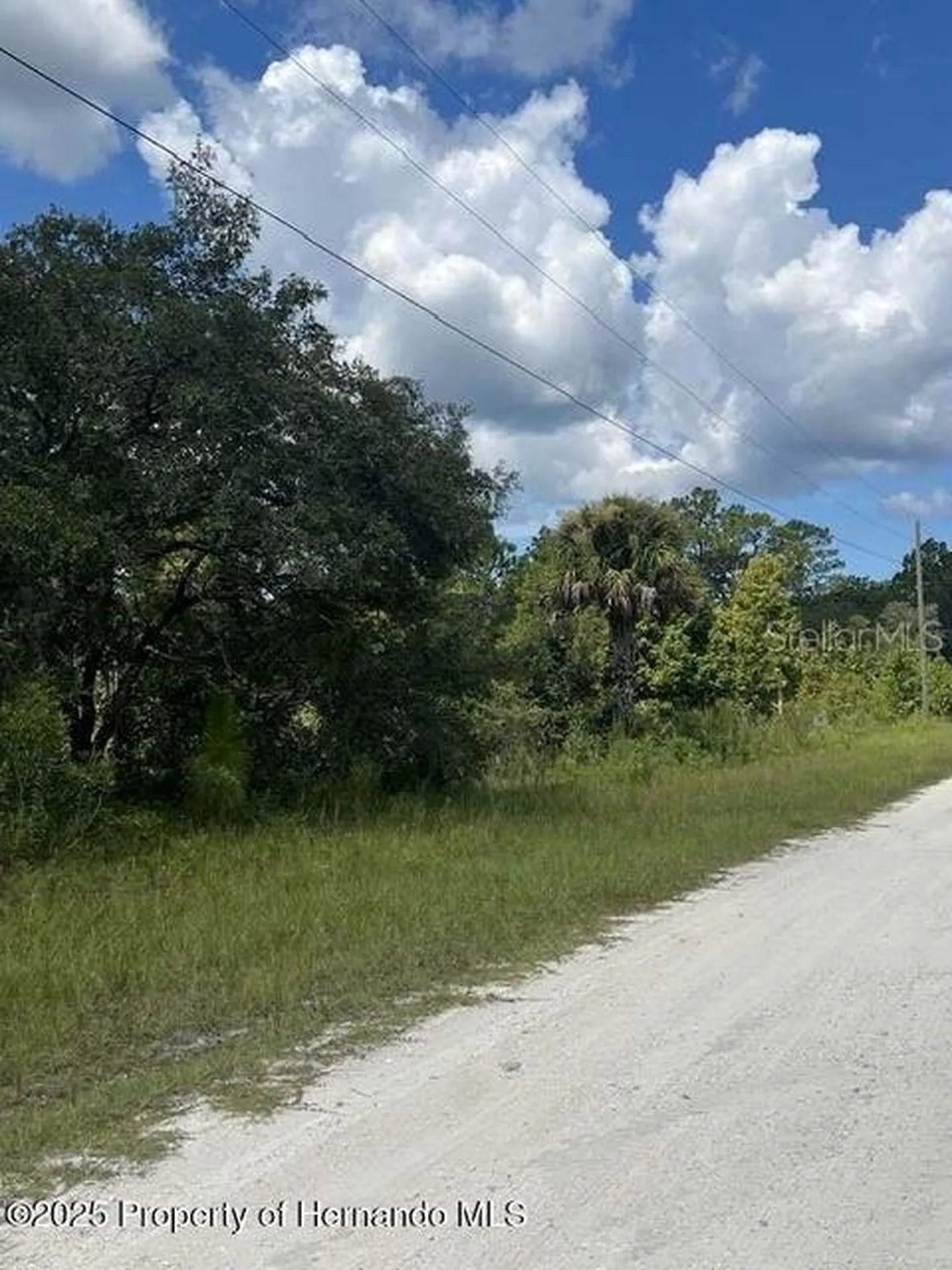 0 0 Yellow Frog Avenue Weeki Wachee FL 34614