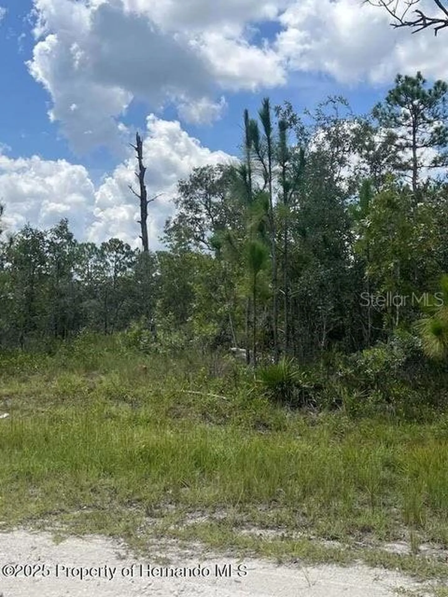0 0 Yellow Frog Avenue Weeki Wachee FL 34614