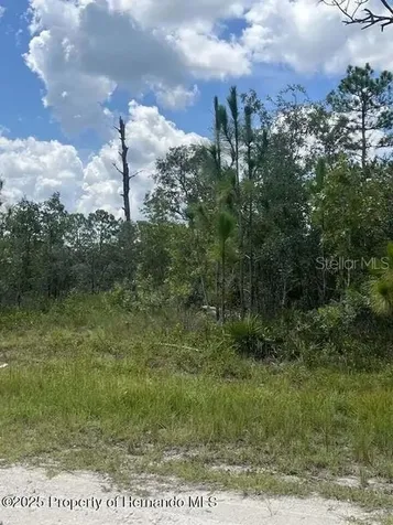 0 0 Yellow Frog Avenue Weeki Wachee FL 34614