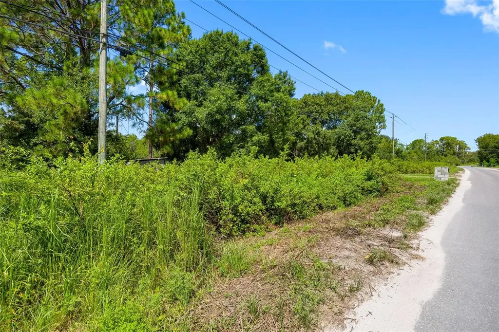 3207 Cypress Trails Drive Polk City FL 33868