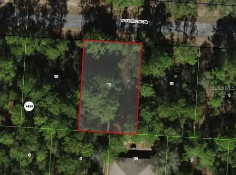 2276 W Striblin Drive Citrus Springs FL 34434