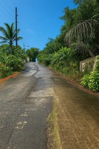 3349 Pr-3349 Km 5.1 Int. Mayaguez PR 00680