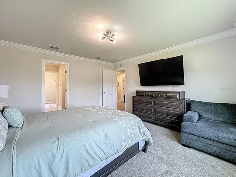 17450 Million Lakes Court Clermont FL 34714
