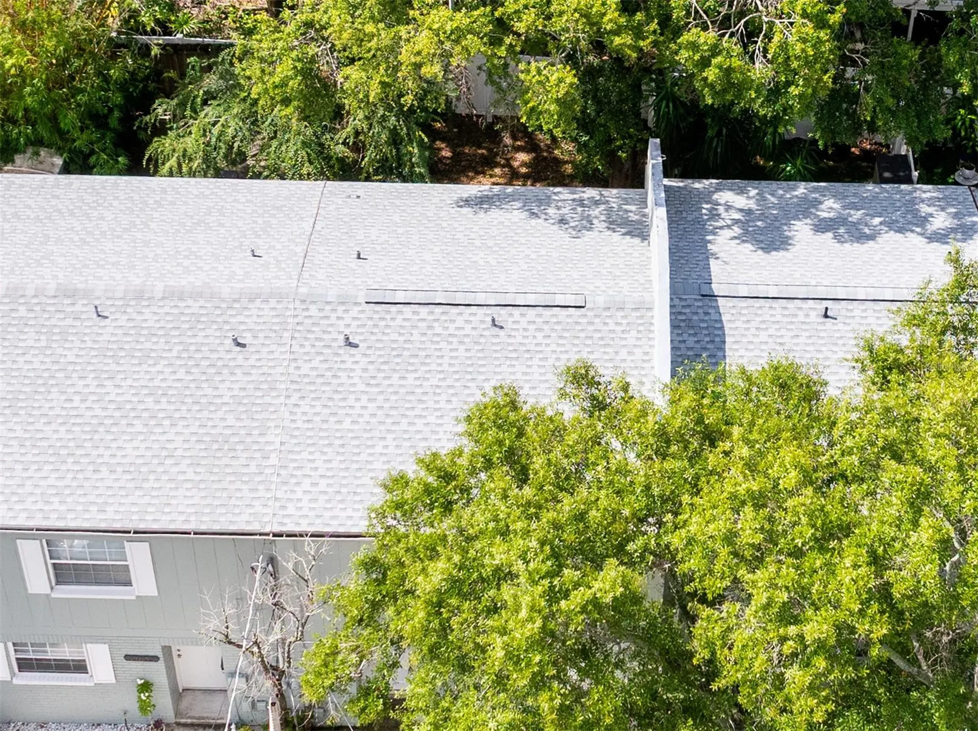 3202 W De Leon Street Tampa FL 33609