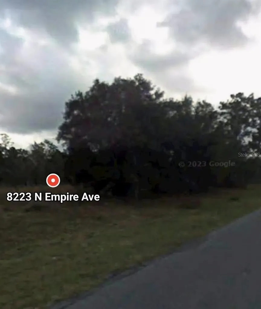 8223 N Empire Avenue Citrus Springs FL 34433