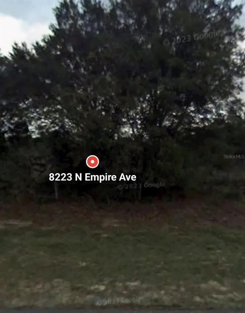 8223 N Empire Avenue Citrus Springs FL 34433