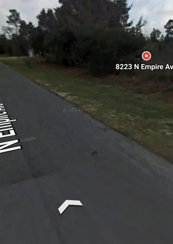 8223 N Empire Avenue Citrus Springs FL 34433