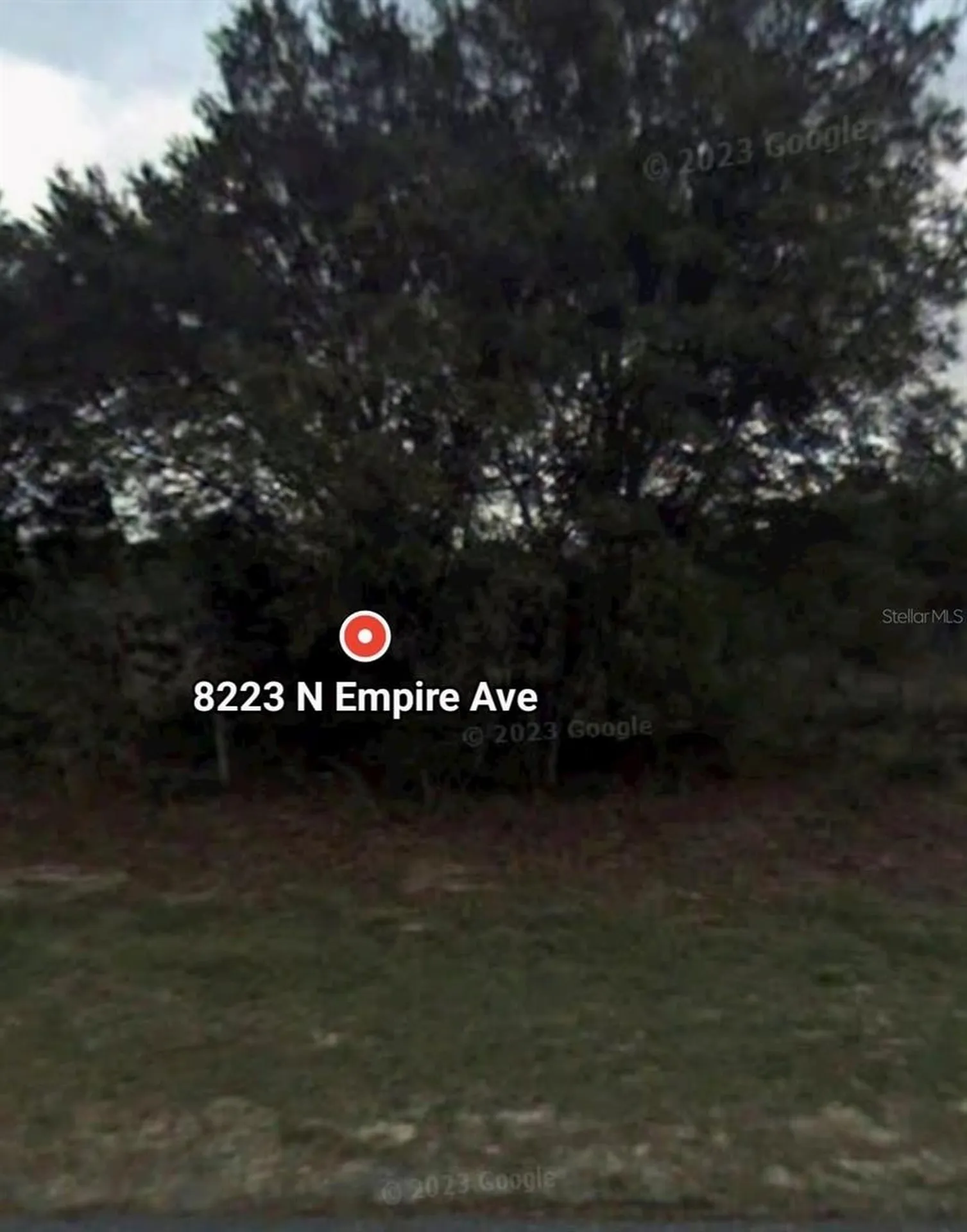 8223 N Empire Avenue Citrus Springs FL 34433