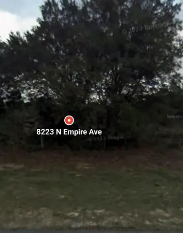 8223 N Empire Avenue Citrus Springs FL 34433
