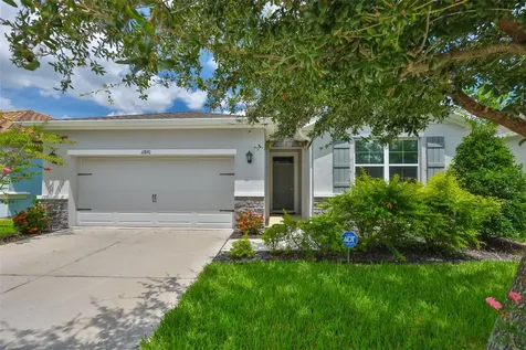 11890 Frost Aster Drive Riverview FL 33579