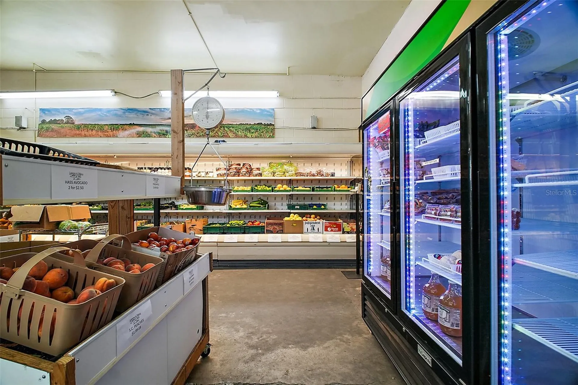 454 N Park Avenue Apopka FL 32712