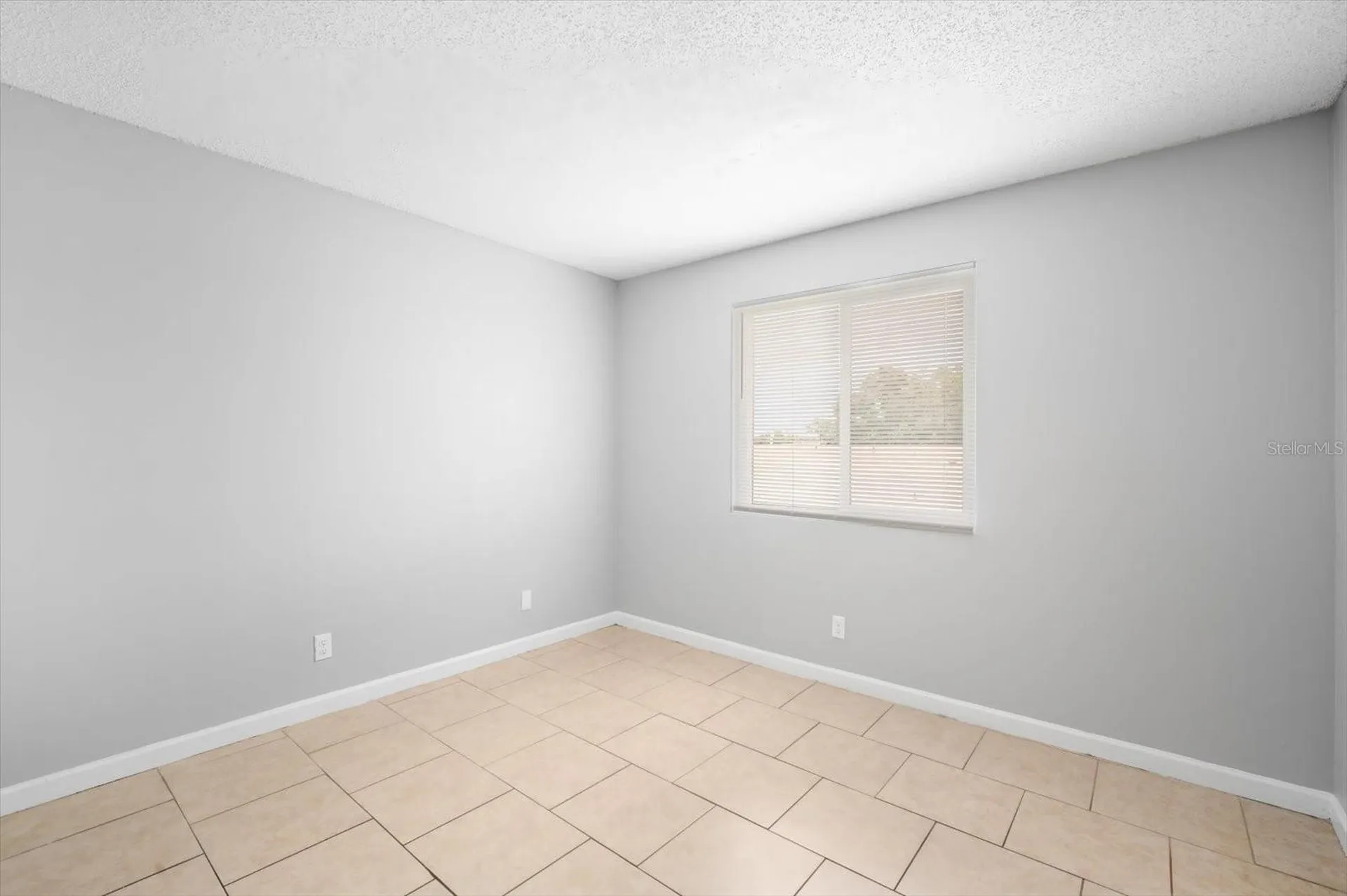 239 Red Maple Place Brandon FL 33510