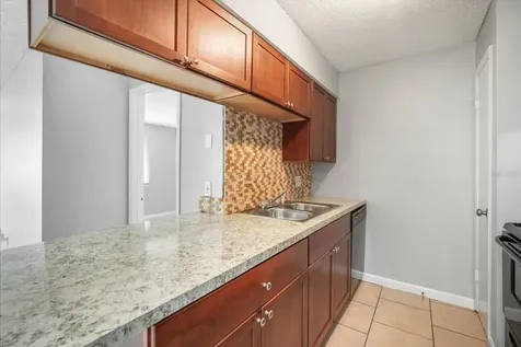 239 Red Maple Place Brandon FL 33510