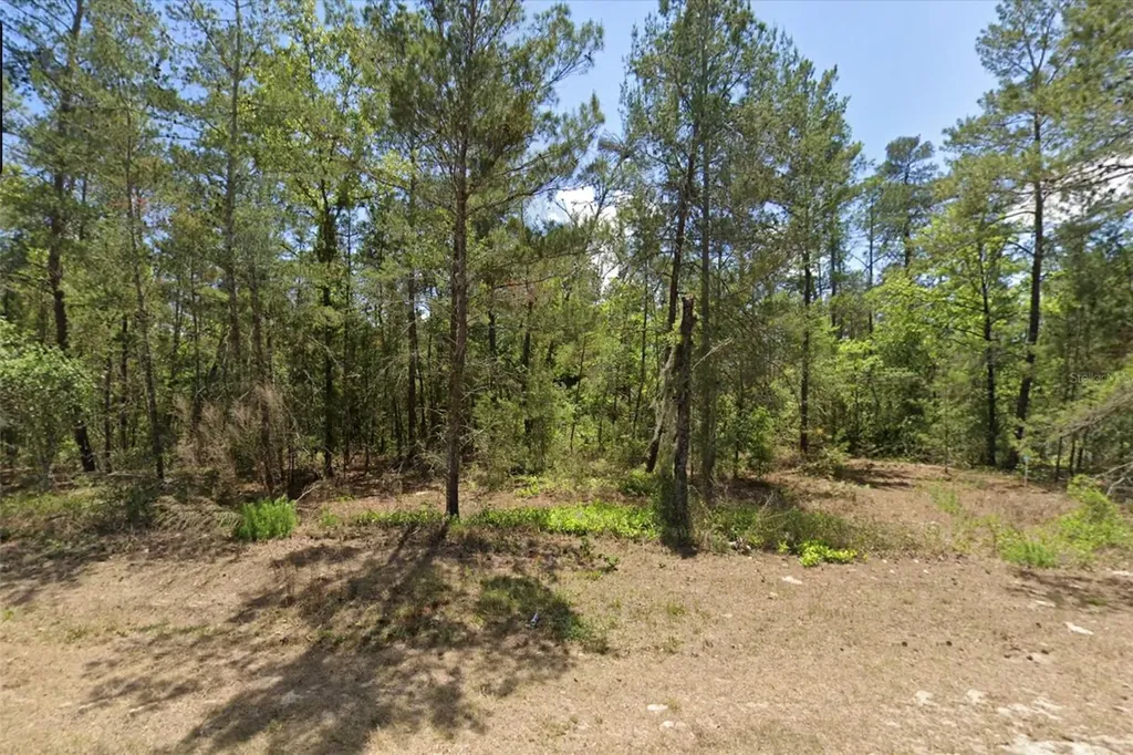 6230 W Oak Park Boulevard Homosassa FL 34446