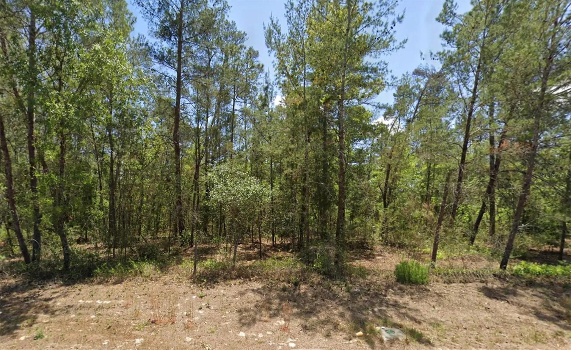 6230 W Oak Park Boulevard Homosassa FL 34446