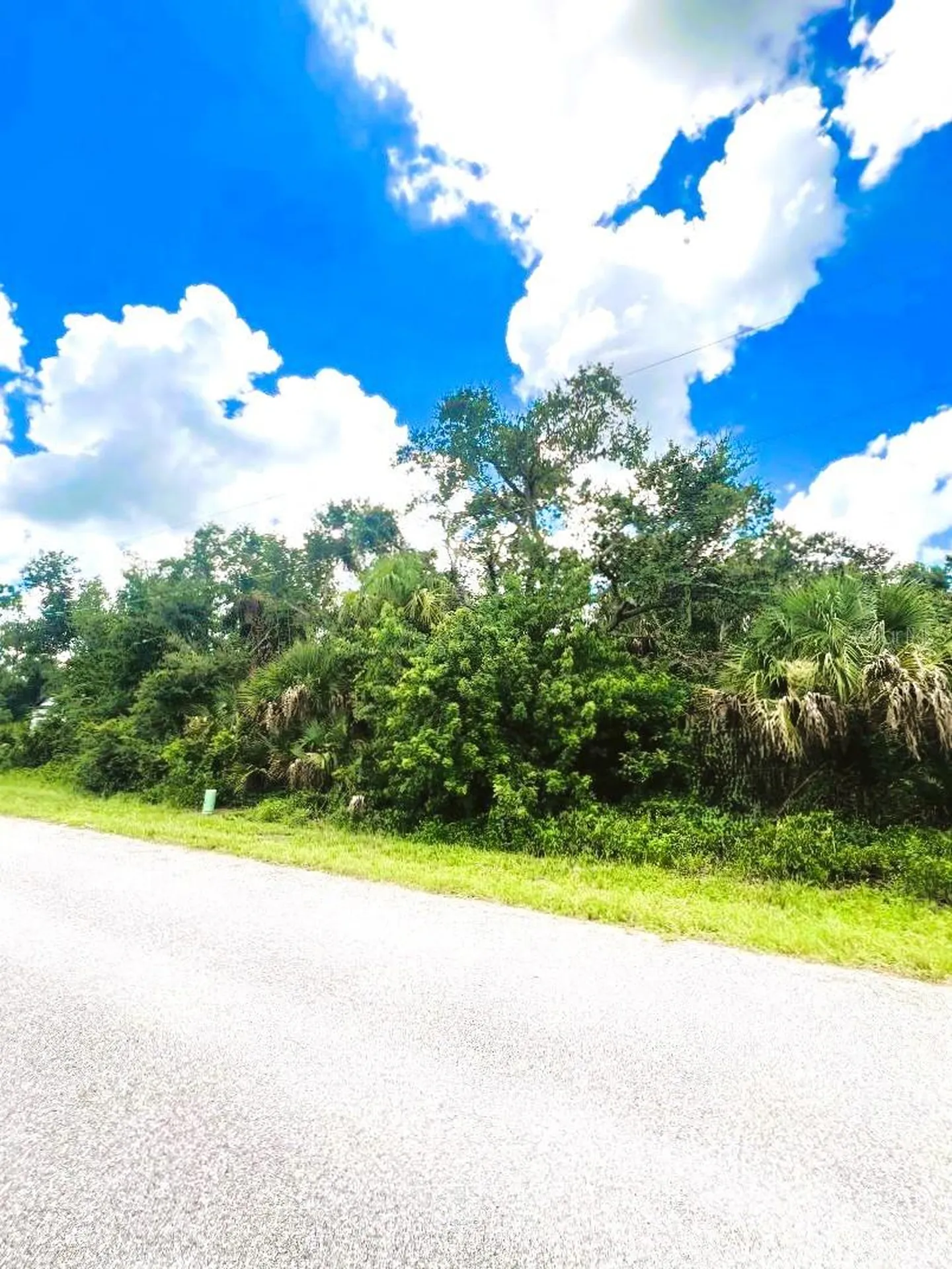 323 Canora Drive Port Charlotte FL 33954