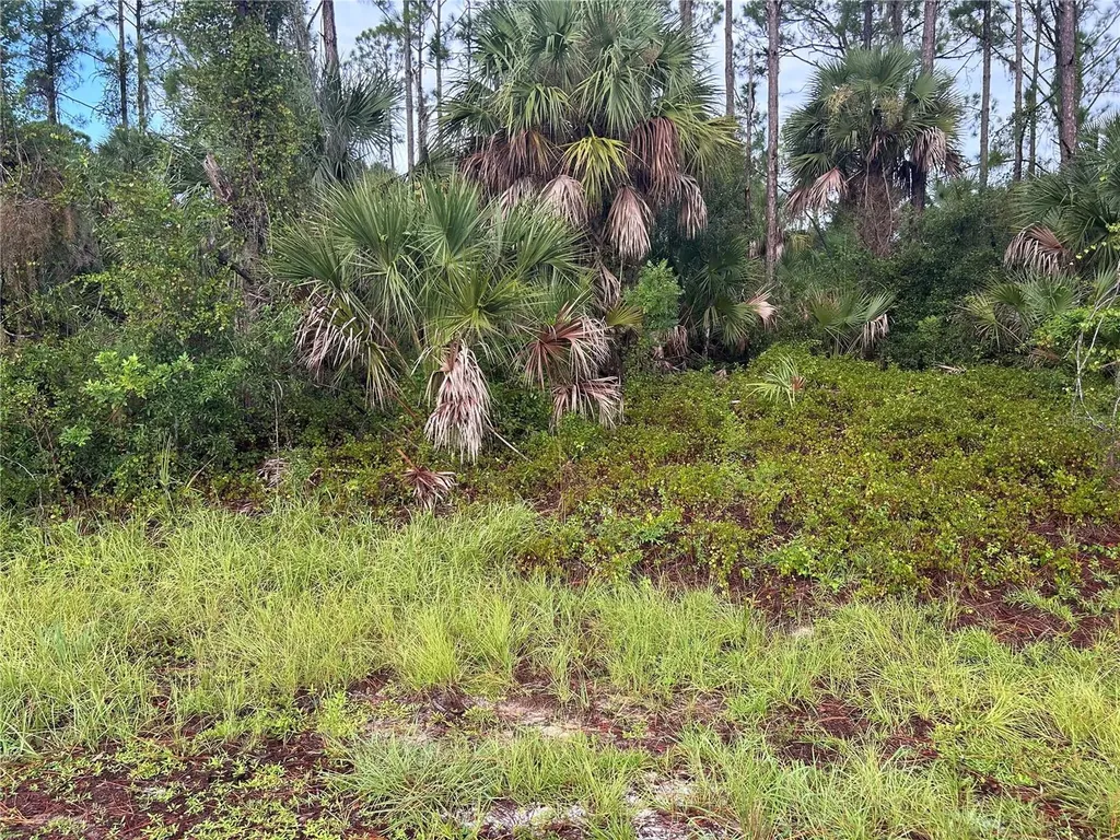 Dennis Street North Port FL 34286