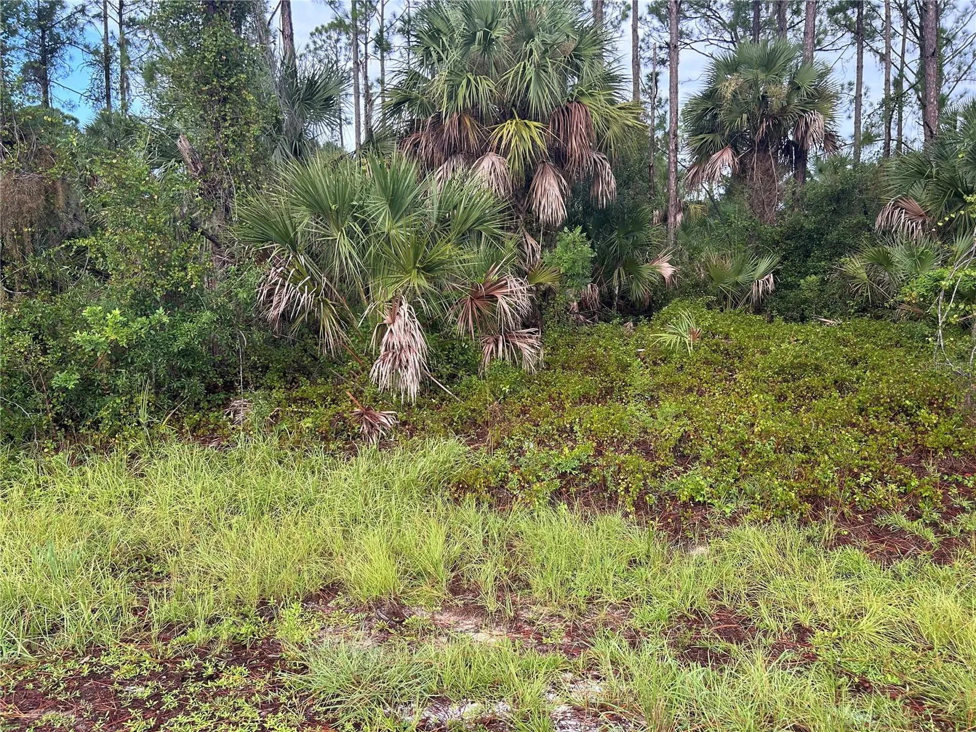 Dennis Street North Port FL 34286