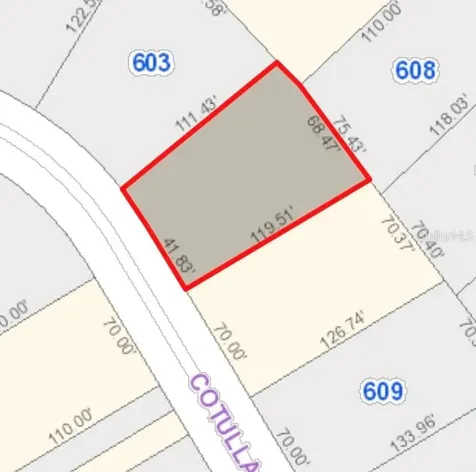 Cotulla Drive Kissimmee FL 34758