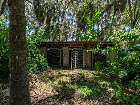 4645 NE 159th Place Citra FL 32113